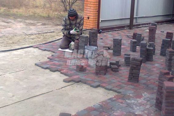 2016 Ровжи