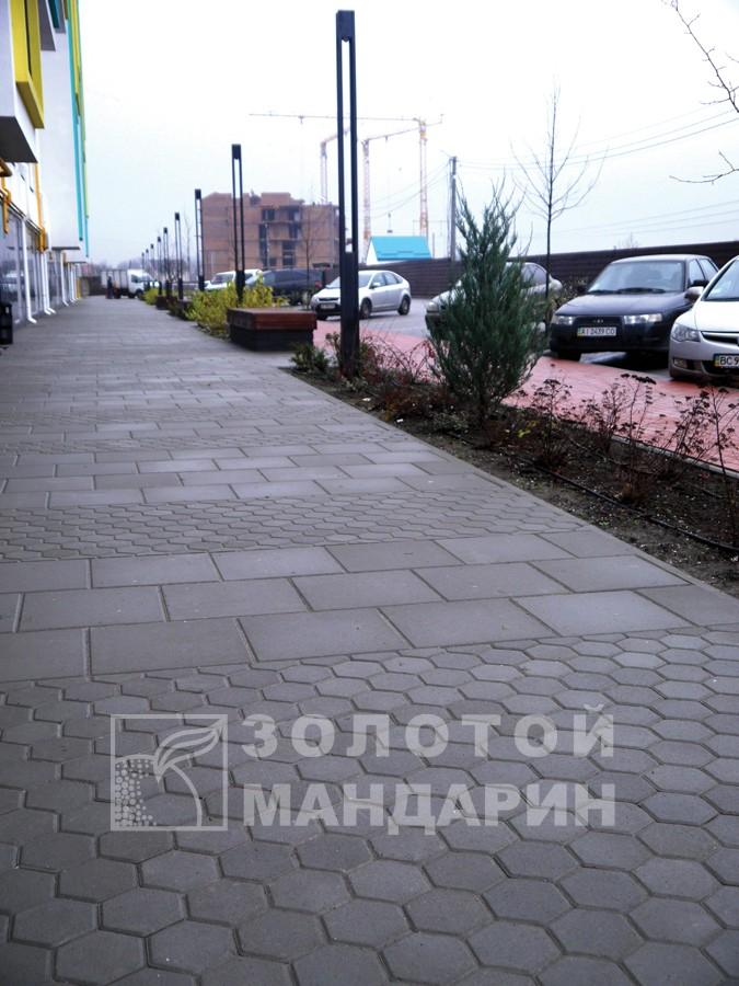 Плитка Сота «Золотой мандарин» Плитка Сота «Золотой мандарин» — изображение 13