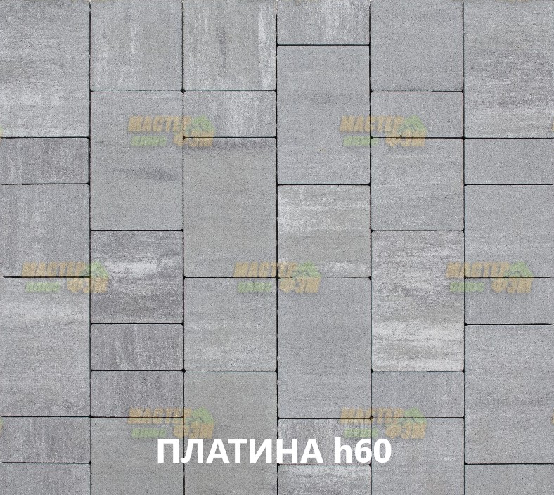 ТРОТУАРНАЯ ПЛИТКА ЛАЙНСТОУН 20 h60 ПЛАТИНА тротуарная плитка лайнстоун 20 h60 платина авеню
